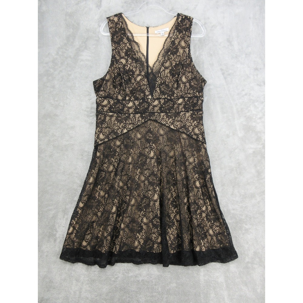 Simply Liliana Dress Womens Size 16 Whimsigoth Black Lace Sheer Dark Coquette